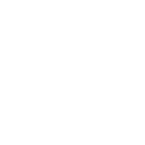 ícone whatsapp branco